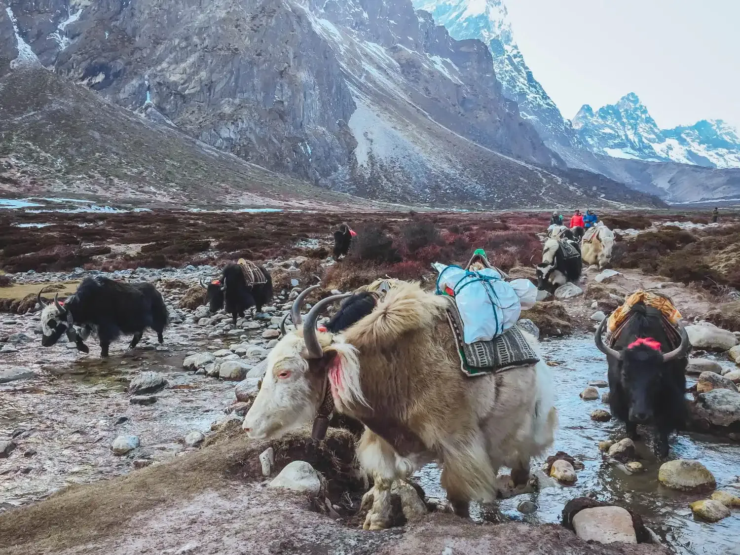 Everest Base Camp Trek Cost: 2026–2027 Budget Estimate