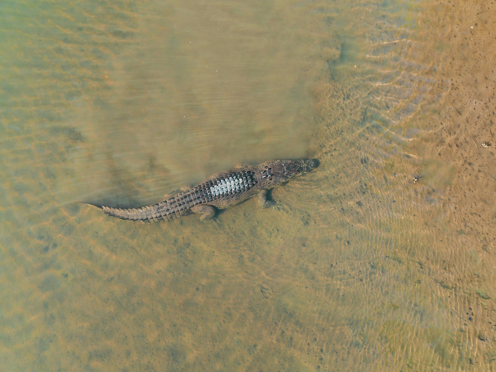 Babai River Fishing Expedition - 8 Days